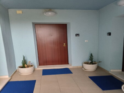 Apartments Apartmani Korčula Plava kuća Korcula (Island Korcula)