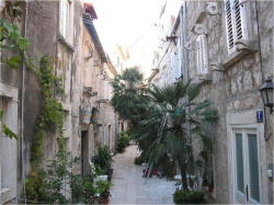 Apartments Sunvilla Orebic (Peninsula Peljesac)