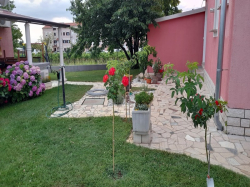 Apartamenty Apartmani.Dragica Poreč
